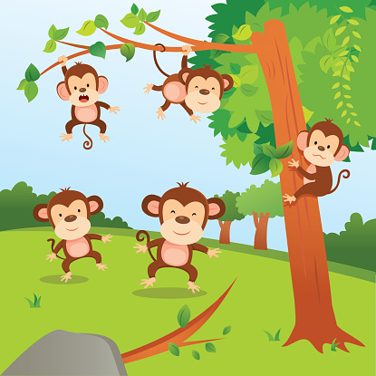A group of monkeys playing in the jungle.