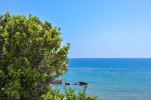 istock Sea view with green bush 497855598