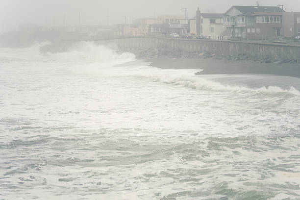 istock Pacific Coast, North California 497855731