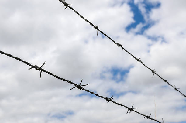 istock Barbed wire fence with clouds in sky in background 497857380