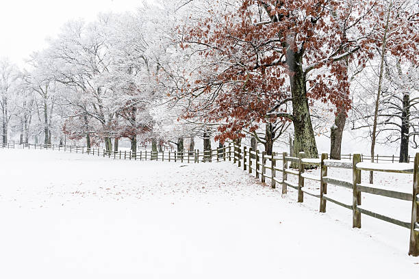 istock XXXL: Snow covered fence and trees next to a field 497858532