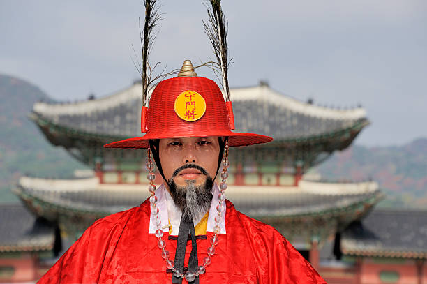 armati di guardia al palazzo di deoksugung, seul, corea del sud - seoul honor guard horizontal front view foto e immagini stock