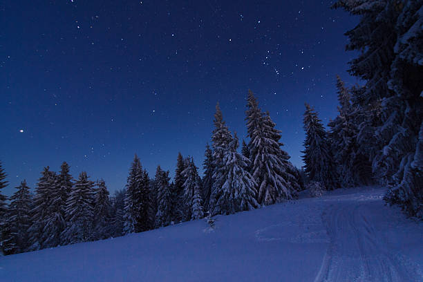 winter berge-landschaft. - dragobrat stock-fotos und bilder