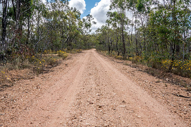 istock outback Gravel road, australia 497859412
