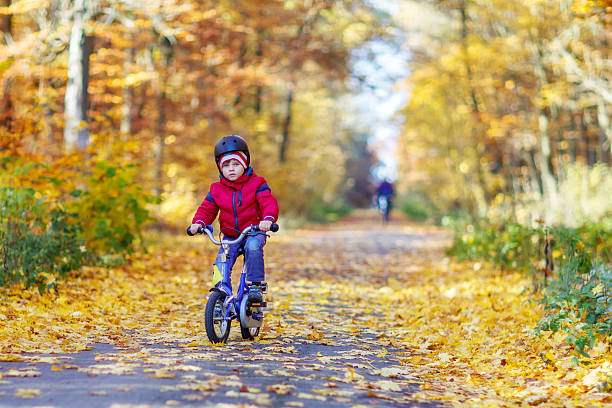 istock Little kid boy with bicycle in autumn forest 497859600