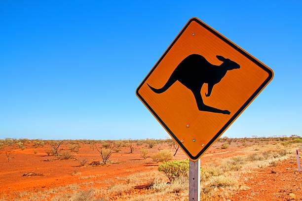 istock Australian road sign on the highway 497862094