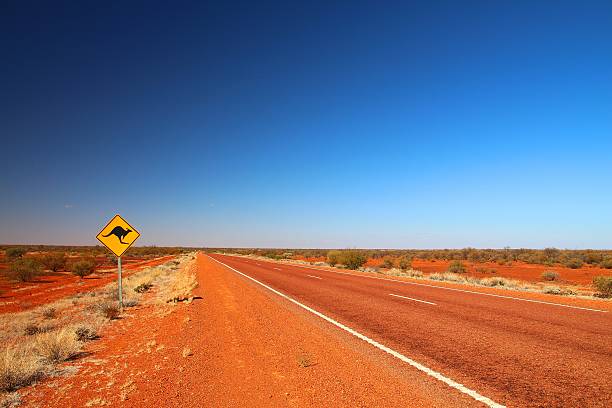 Australian road sign on the highway Kangaroos crossing. outback photos stock pictures, royalty-free photos & images