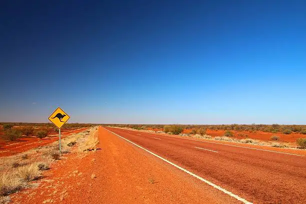 Kangaroos crossing.