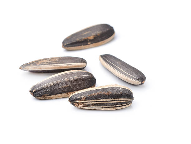 istock Sunflower seeds on white background 497863788