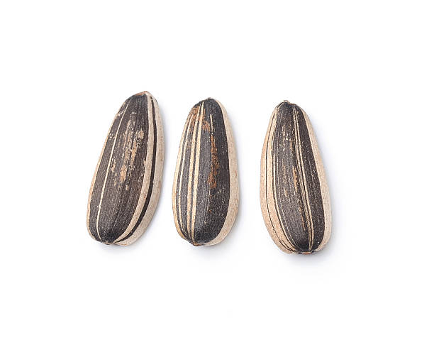 istock Sunflower seeds on white background 497863822