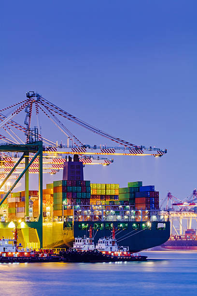 Container terminal at sunset Container terminal at sunset gantry crane stock pictures, royalty-free photos & images