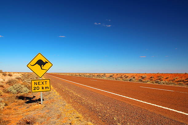 Australian road sign on the highway Kangaroos crossing. hazard sign photos stock pictures, royalty-free photos & images
