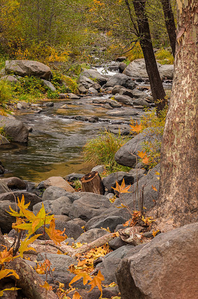 istock Sedona Arizona USA 497867444
