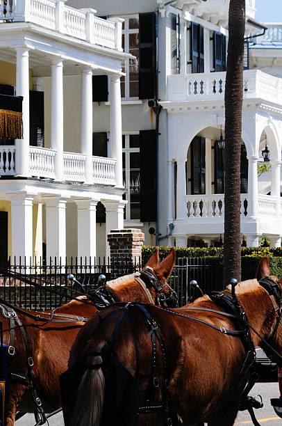istock Historic Charleston, South Carolina 497870290