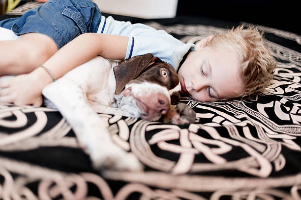 istock young boy lying on bed with his dog 497890191