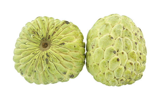 istock Pair of custard apple sweet fruit isolated 497891065