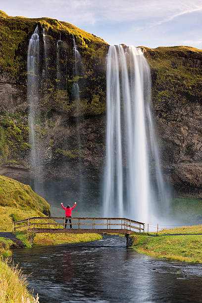 Seljalandsfoss Waterfall , South Iceland Attractive Seljalandsfoss Waterfall, long shutter speed, South Iceland hraunfossar stock pictures, royalty-free photos & images