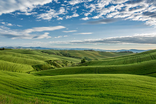 istock Green field and blue sky in Tuscany 497892367