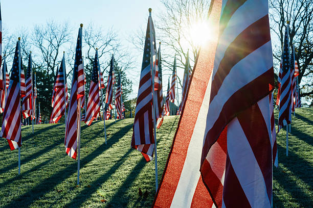 amerikanische flaggen mit sonne flare - tree sun autumn sunlight stock-fotos und bilder