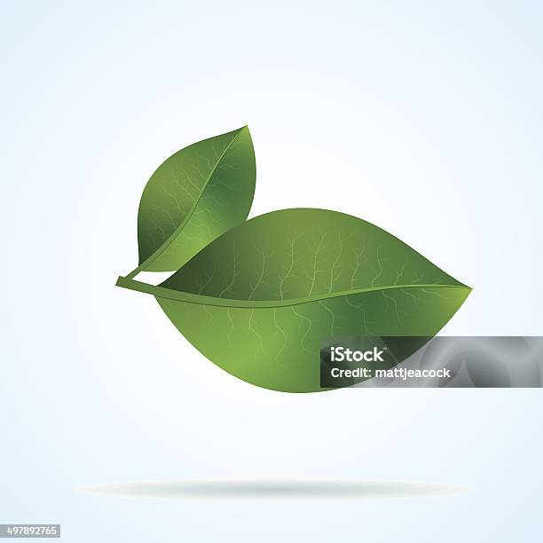 Leaf Stock Vektor Art und mehr Bilder von Ast - Pflanzenbestandteil - Ast - Pflanzenbestandteil, Blatt - Pflanzenbestandteile, Designelement