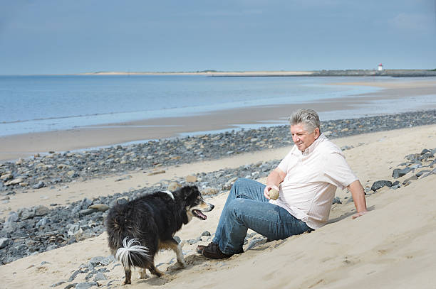 Bude, Cornwall, England, UK - 22 February 2025: Silhouette of people on the beach with dogs in the seaside resort of Bude