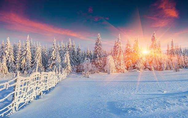 istock Colorful winter panorama in the Carpathian mountains. 497893628