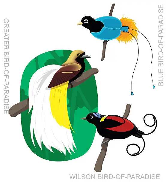 Vector illustration of Bird Bird-of-Paradise Set Cartoon Vector Illustration