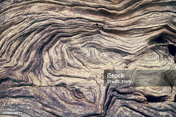 Bark Tree Wood Texture Stock Photo - Download Image Now - Plant Bark, Textured, Wood - Material