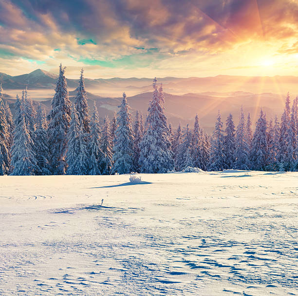 istock Foggy winter sunrise in the Carpathian mountains. 497894200