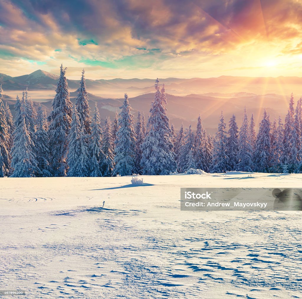 Foggy winter sunrise in the Carpathian mountains. Foggy winter sunrise in the Carpathian mountains. Colorful morning scene in retro style. 2015 Stock Photo