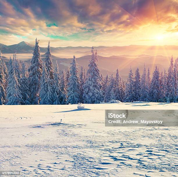Foggy Winter Sunrise In The Carpathian Mountains Stock Photo - Download Image Now - 2015, Adventure, Bright