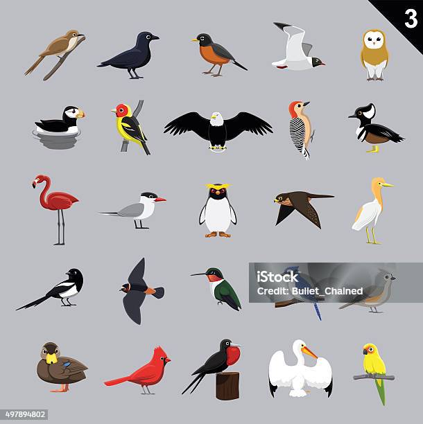 Various Birds Cartoon Vector Illustration 3 Stock Illustration - Download Image Now - Illustration, Eagle - Bird, Bird