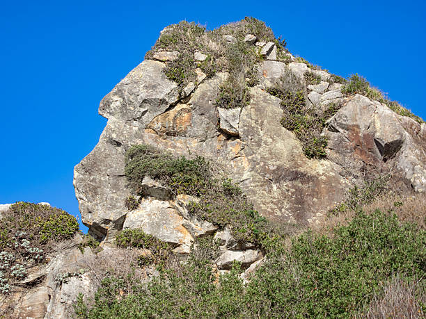 istock Pareidolia Rock Looks Like Face Harris Beach State Park Oregon 497895114
