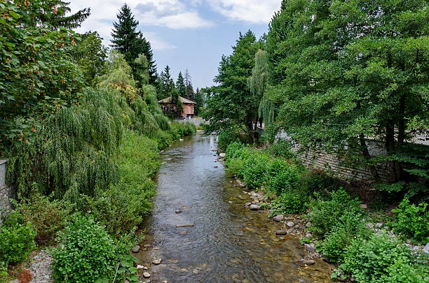istock View toward river, rest-house and highly varied plant 497895338