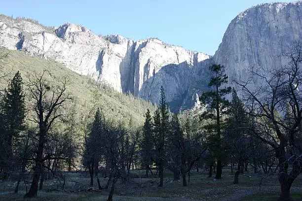 El Capitan and valley in Yosemite-Nationalpark, California USA
