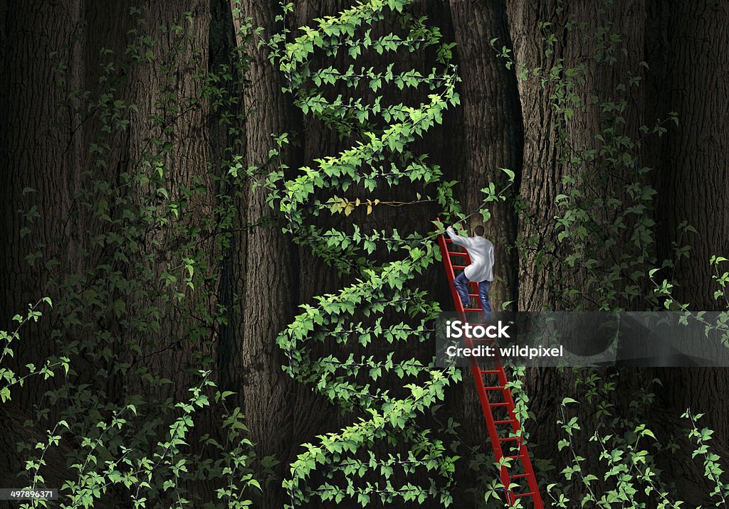 Gene Therapy Gene therapy DNA helix concept with a medical genetics specialist doctor on a ladder climbing a plant that represents part of the human chromosomes anatomy as a biotechnology metaphor for genetic testing and repair. DNA Stock Photo