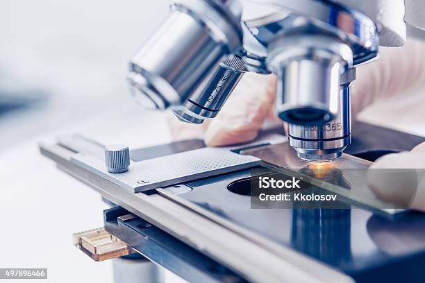 Scientist Hands With Microscope Stock Photo - Download Image Now - Microscope, Laboratory, 2015