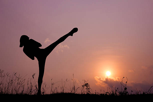 istock Silhouette of girl exercising side kick. 497896788