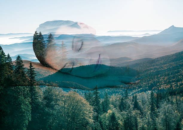 푸지 노출된 여성 세로 및 가로 - layered mountain tree pine 뉴스 사진 이미지