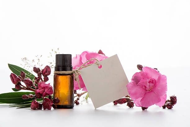 istock Essential oil, empty tags and roses flowers 497902390