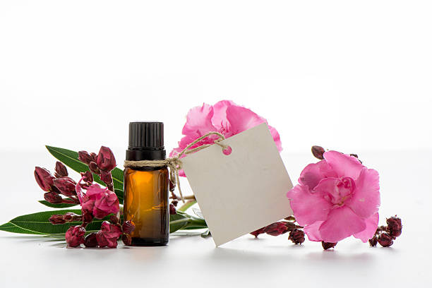 istock Essential oil, empty tags and roses flowers 497902504
