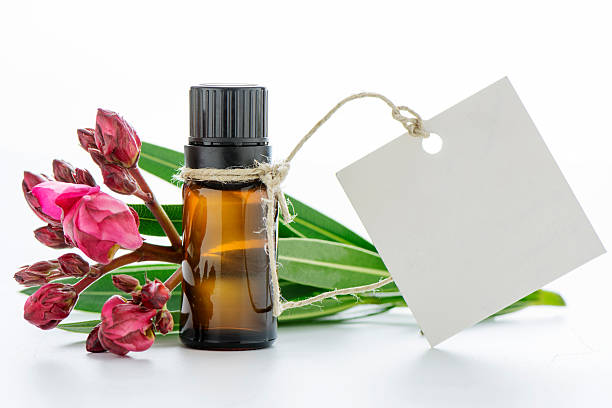 istock Essential oil, empty tags and roses flowers 497902792