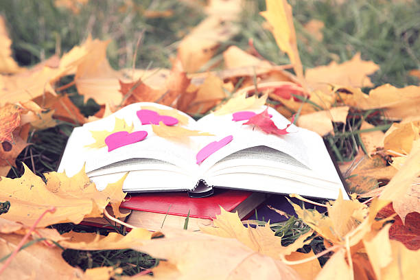 istock Open book in autumn leaves. 497903268