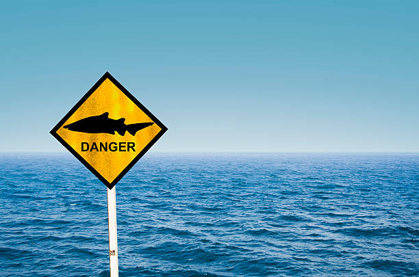 Red flag beach warning, bathing is completely forbidden