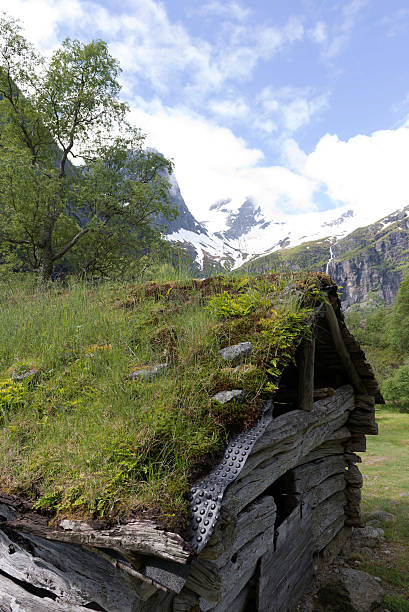 istock The Briksdal glacier - Olden, Norway 497905090