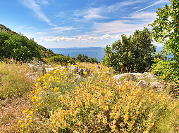 HDR photo featuring beautiful Dalmatian islands and landscape, top view from highest top of Hvar island called \