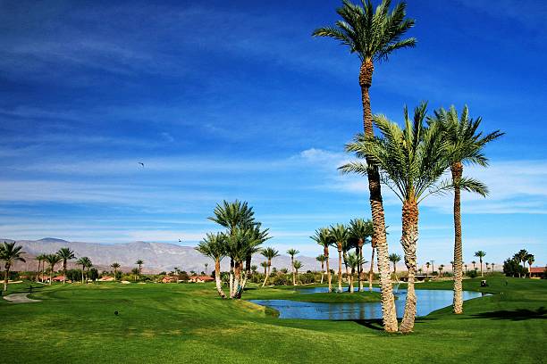 parcours de golf desert golf course - lawn desert golf california photos et images de collection