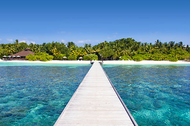 istock The Maldives, Velidhu Jetty 497906246
