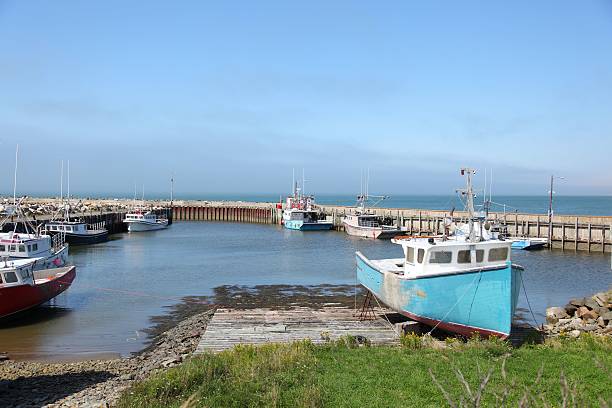 istock Fishing boats at a wharf 497906840