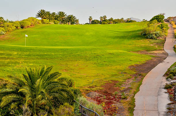 istock Golf Green Grass Fiel 497907270